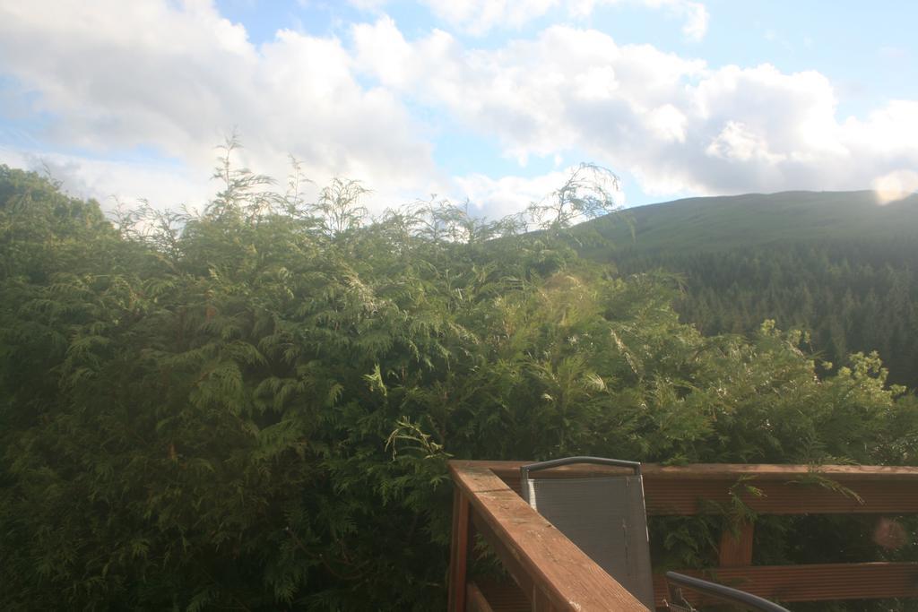 Laragh Mountain View Lodge Saggart Pokoj fotografie